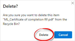 Confirm Delete File