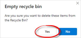 Confirm Empty Main Recycle Bin