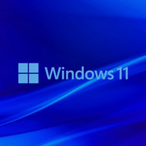 Windows 11