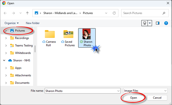 Open Dialog Box