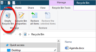 Empty Recycle Bin Button