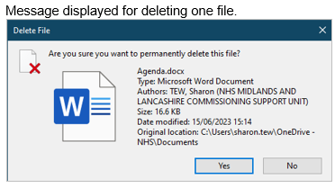 Message For Deleting One File