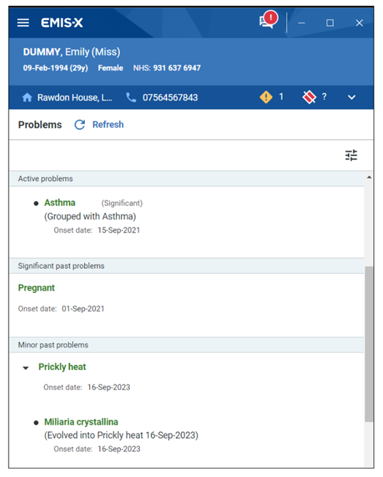 Image of the problems section within Clinical View, showing problems broken down by Active/Significant Past and Minor Past 