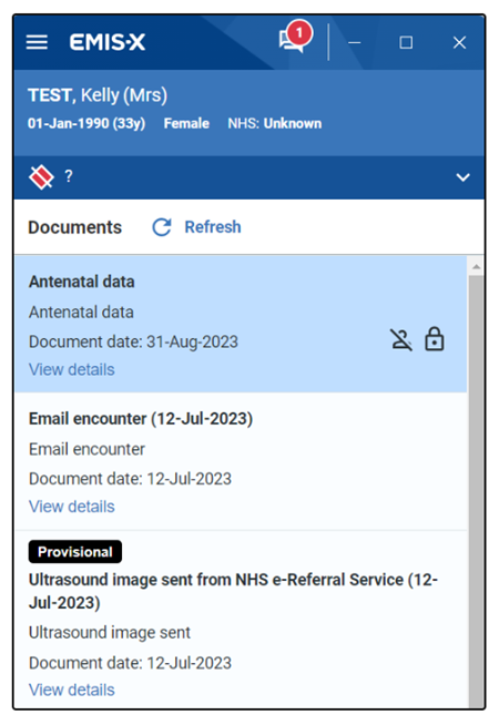Image of selecting Documents from Clinical Views.  It reveals the document name/type, View details hyperlink for further info..
